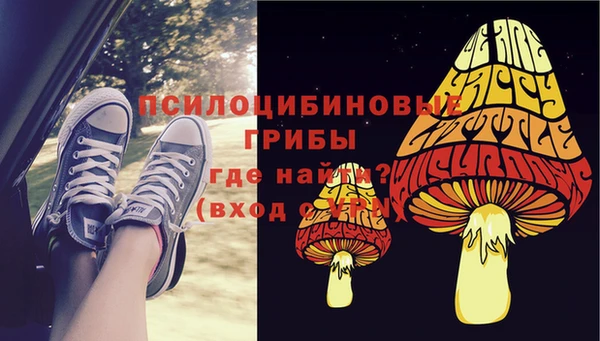 ПСИЛОЦИБИНОВЫЕ ГРИБЫ Пестово