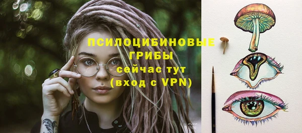 ПСИЛОЦИБИНОВЫЕ ГРИБЫ Пестово