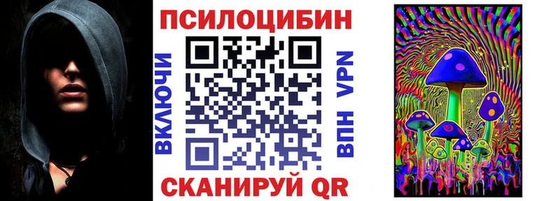 omg зеркало  Тулун  Псилоцибиновые грибы Cubensis  хочу  