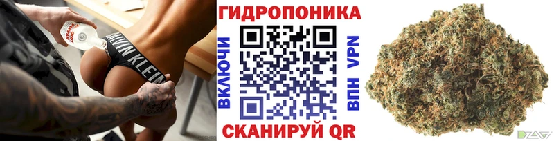как найти наркотики  Тулун  Канабис марихуана 